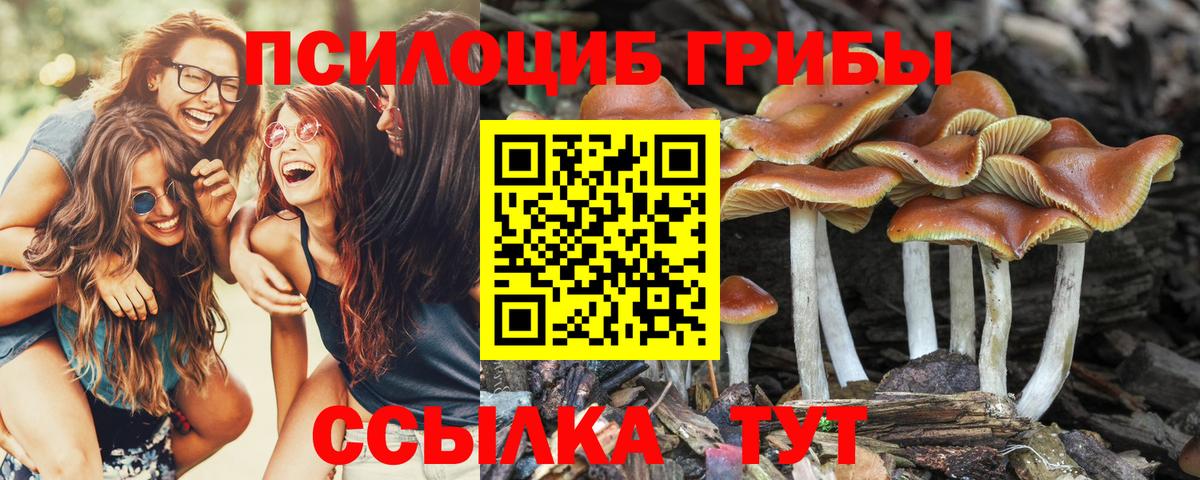 Псилоцибиновые грибы ЛСД  Вход с VPN  Верхняя Салда 